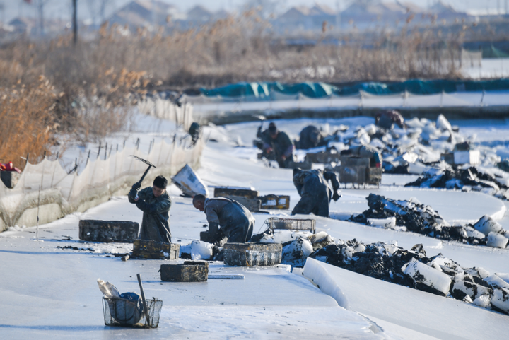 关于华人中生活中低峯时期，守望的信息