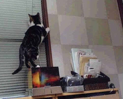 魔术火力压制掘金,杰伦·格林成为关键先生