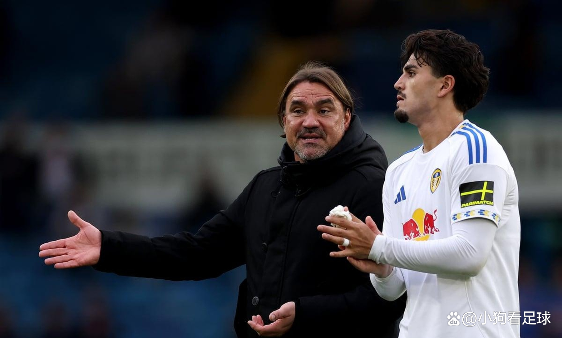 利兹联新援表现出众提升球队实力 利兹联新援表现出众提升球队实力