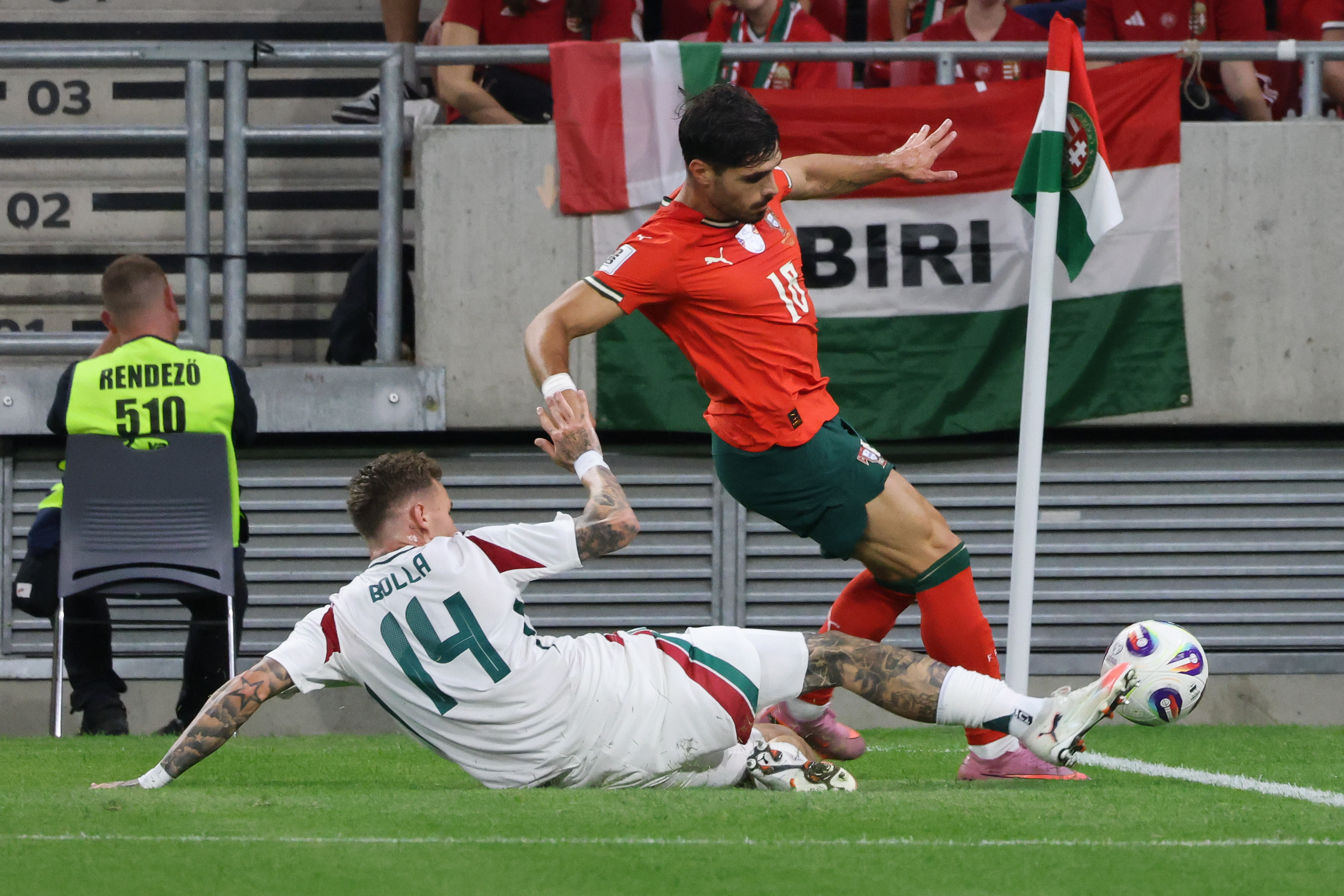 关于葡萄牙队险胜德国队，张本智和状态火热的信息