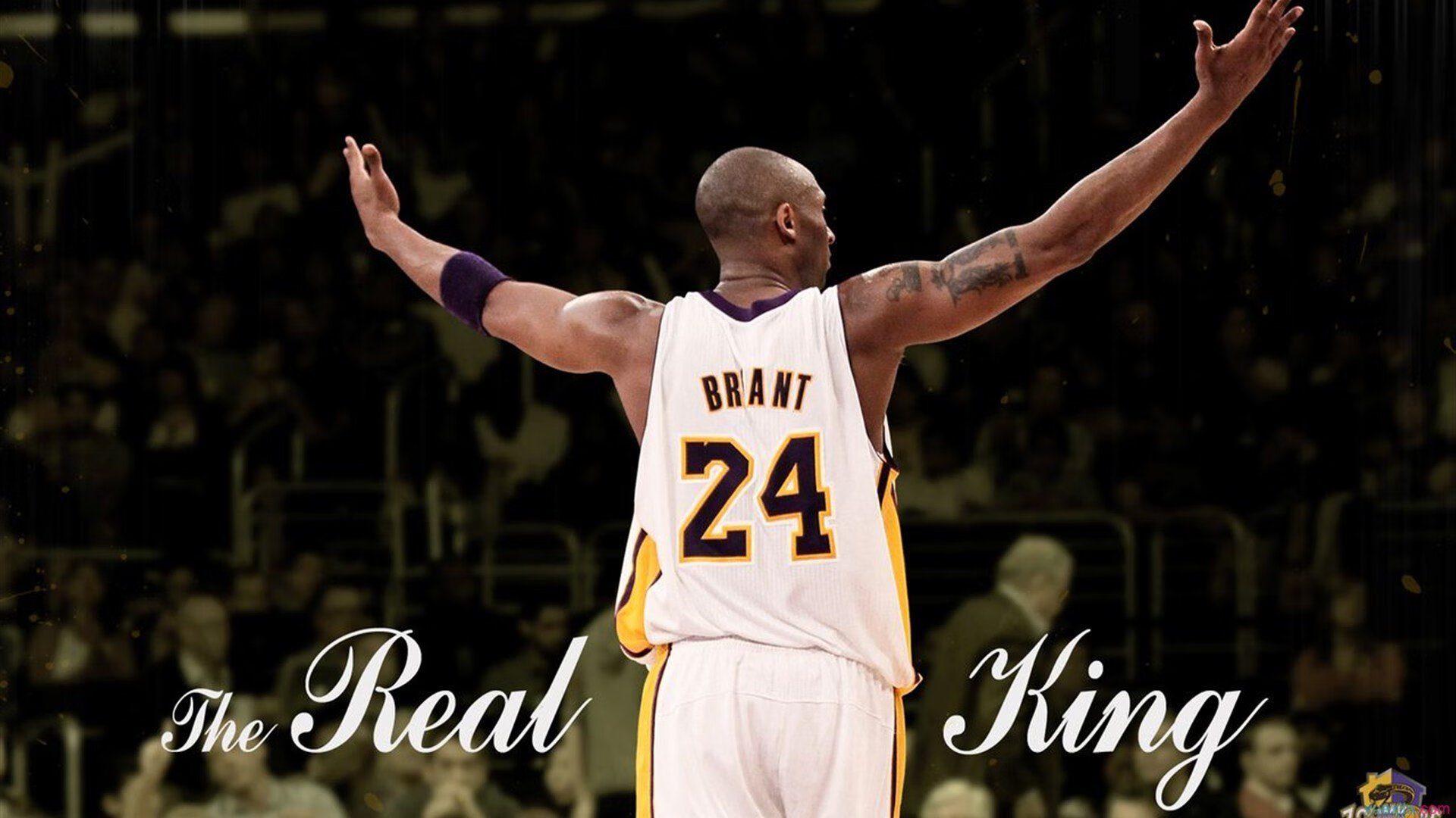 双线传奇，猛龙决胜局封王北境，锡安世界杯接管新时代